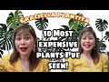 TOP 10 MOST EXPENSIVE PLANTS I'VE SEEN! |GRACIELLA PLANTITA