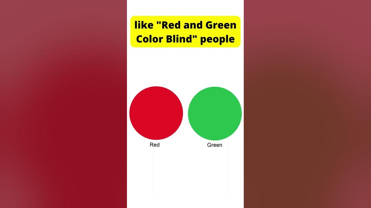 Dogs Are Color Blind?? Fun Facts about dog's eyes   #Shorts  #dog