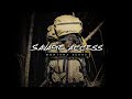 Savage Access - Montana Spring Bears