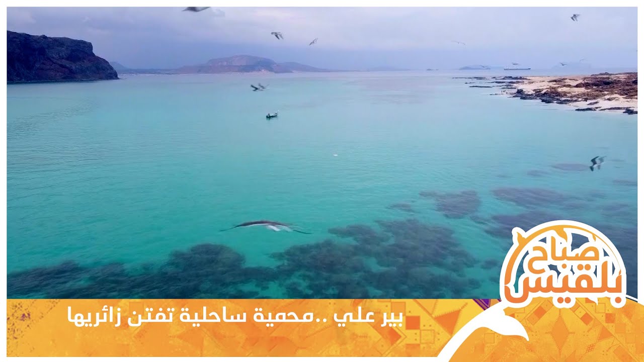 بير علي ..محمية ساحلية تفتن زائريها | تقرير: محمد لطف