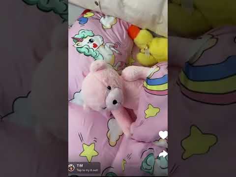 ايلين عملت مقلب في اميره وخوفتها    سنابات