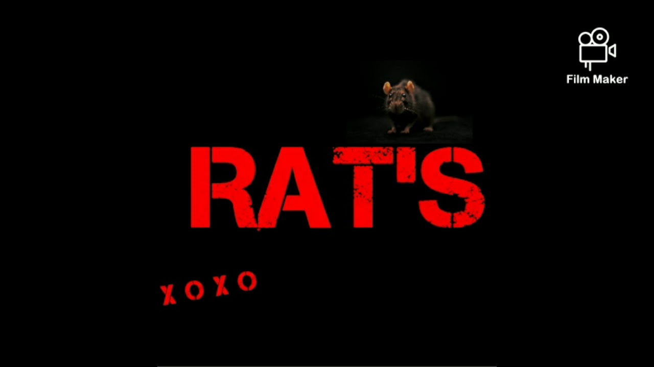 Darex:RAT'S 🐀