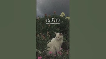 أستغفر اللّٰه 🎧🖤     #القرآن_الكريم #المنشاوي #تلاوة_خاشعة #راحة_نفسية