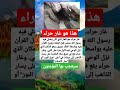 صورة غار حراء المكان الذي انزل فيه الوحي على سيدنا محمد  الاسلام الاسلام دين الحياة العرب