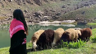 Hawar Delal - Dengbej Lokman 💐 KÜRTÇE YENİ KLİP [ Dengbeji Uzun Hava Türküsü ]