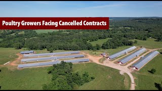 Poultry Growers Facing Cancelled Contracts
Poultry growers in the Illinois River Watershed in Arkansas and Oklahoma could lose their contracts with Tyson Foods due to a decade-long lawsuit between poultry companies and the state of Oklahoma. Lawmakers and growers from both states met in Fayetteville to discuss the likely impact on poultry producers and the communities that depend on them. Poultry Growers Facing Cancelled Contracts