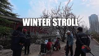 A Quiet Winter Walk by the River | My Relaxing Retired Life