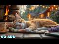 Relaxing Music For Cats 🌊 Calm Music For Cats - Quiet Soundscape For Cats Supporting Relaxation