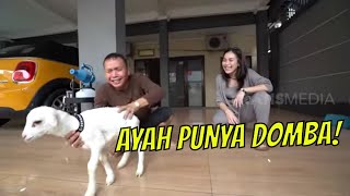 [FULL] AKHIRNYA AYAH OJAK PUNYA DOMBA! | AYAH & AYU (01/10/22)