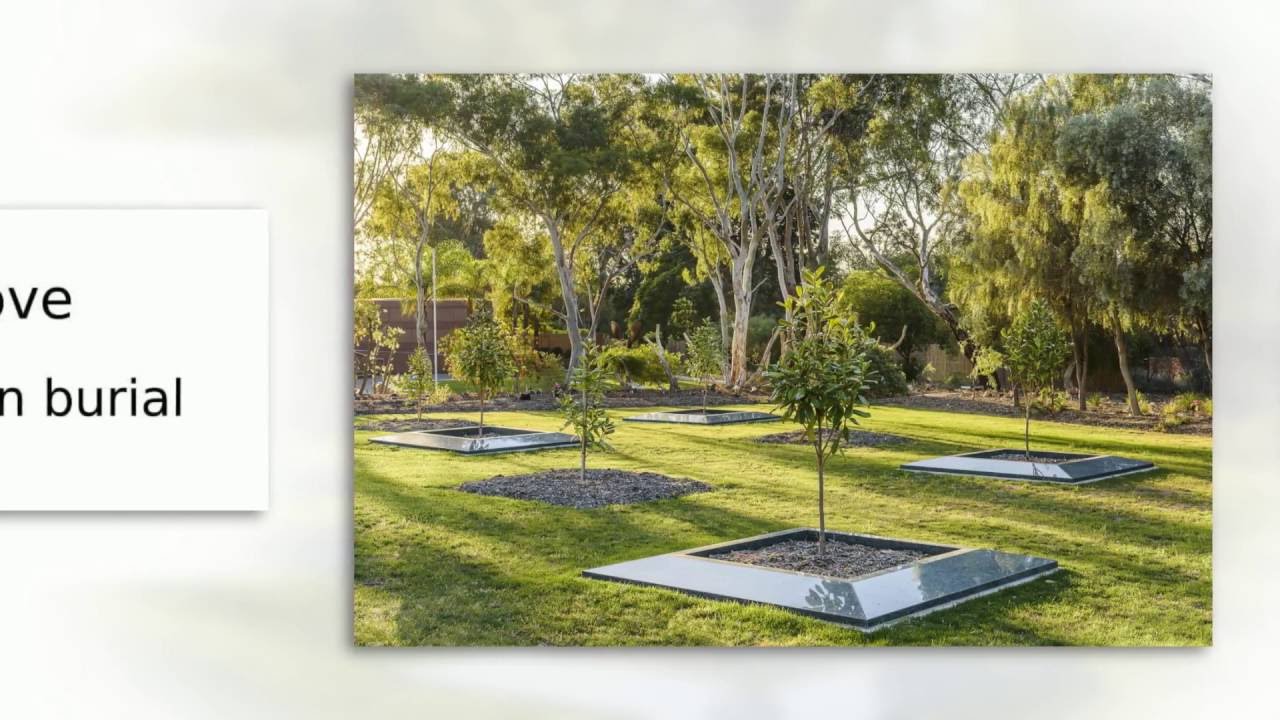 A new contemporary burial area at Centennial Park Cemetery Adelaide South Australia YouTube A new contemporary burial area at Centennial Park Cemetery Adelaide South Australia YouTube