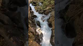 Banias (2)
