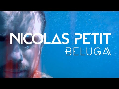 Nicolas PETIT - Béluga