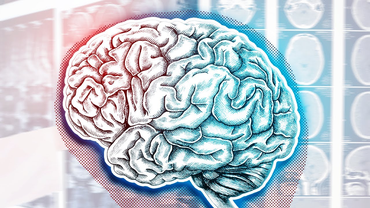 Como o CÉREBRO APRENDE?