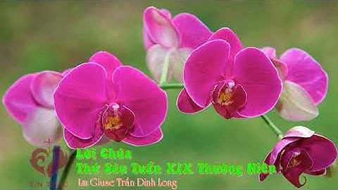 Lời Chúa- Thứ Sáu Tuần XIX Thường Niên, 14/8/2020- Cha Giuse Trần Đình Long