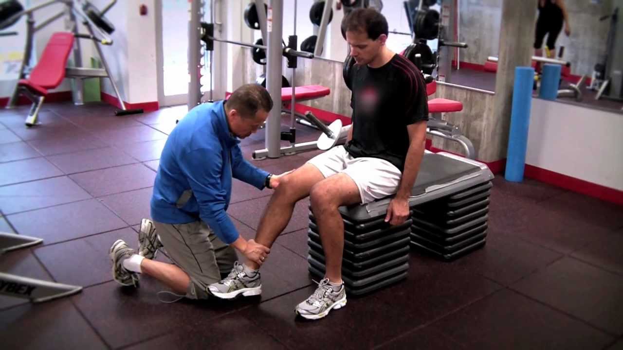 The Vital Health System by David Lee