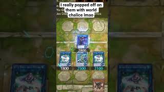 World Chalice Full Board Combos Are Actually Very Satisfying