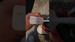 off white dunks pine green review