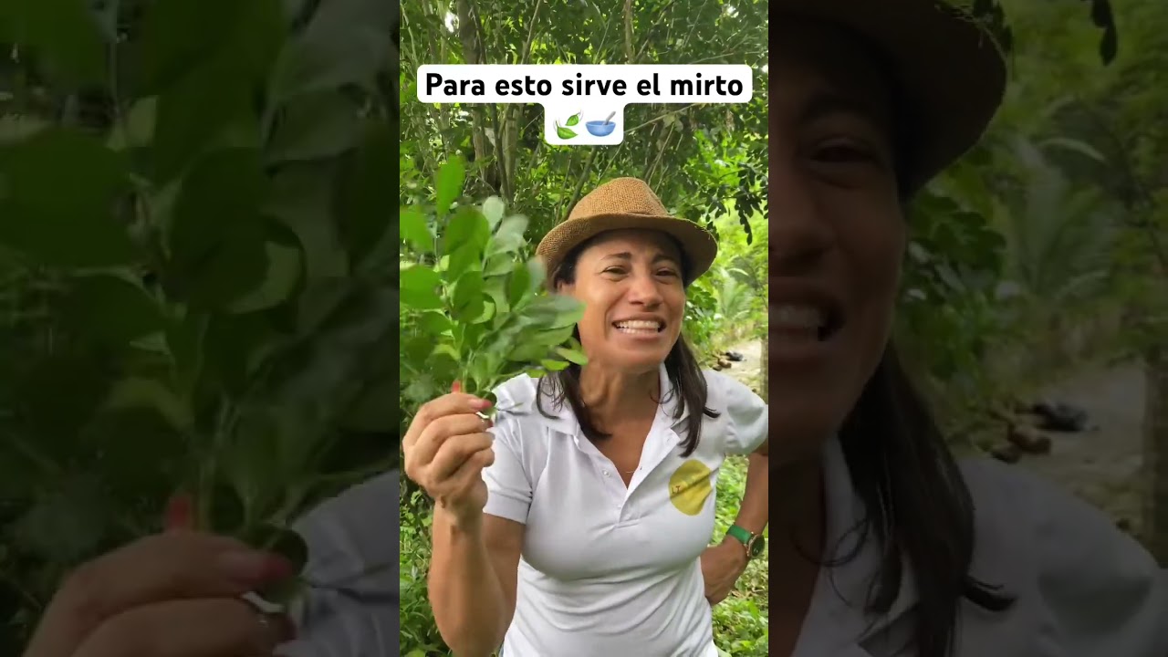 Beneficios del mirto 🍃🥣 