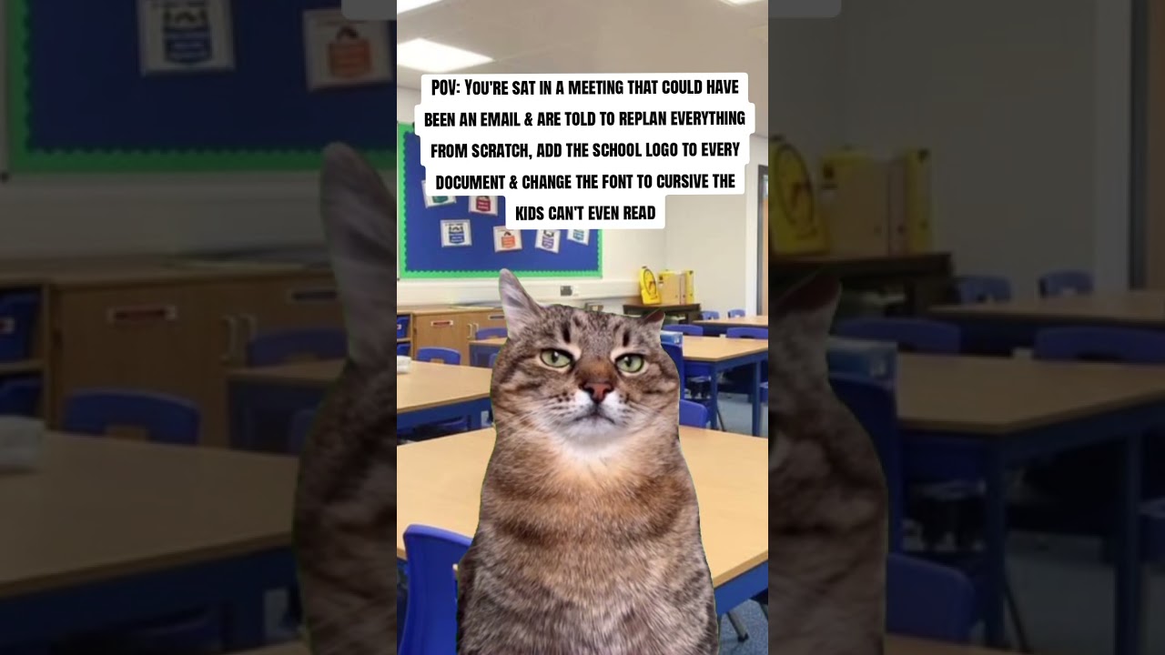 Ok cool  #education #podcast #teaching