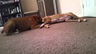 These two miss each other during the day