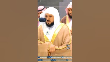 تلاوة تحبيرية و آسرة الشيخ أ.د #_ماهر_المعيقلي |  سورة النمل