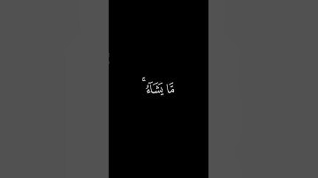 تلاوة بصوت الشيخ عبدالباسط عبدالصمد #القرآن #القرآن_الكريم #عبدالباسط_عبدالصمد #تلاوة_خاشعة