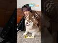OCTPATH・古瀬直輝さんが遊びに来てくれました!(シベリアンハスキー|月刊わんこ撮影オフショット)#shorts