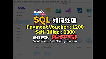 💡如何用SQL申报 Line Item 的 Self Billed e-Invoice