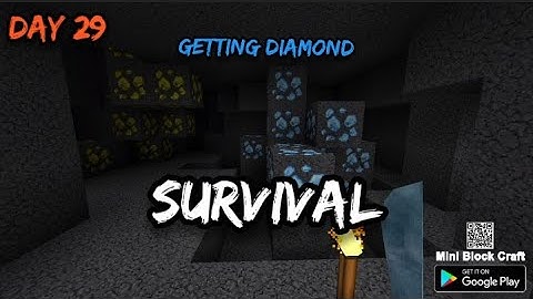 Survival day 29 getting diamond Mini block craft