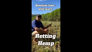 The First Step Of Processing Hemp For Building Homes Is Actually To Let Nature Take Its Course