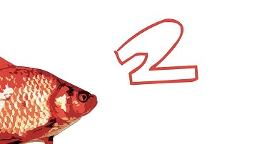 Filler Object Show 2: Bars