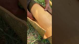 #cinamon #shortvideo#viralmusic#satisfying#relaxingsounds