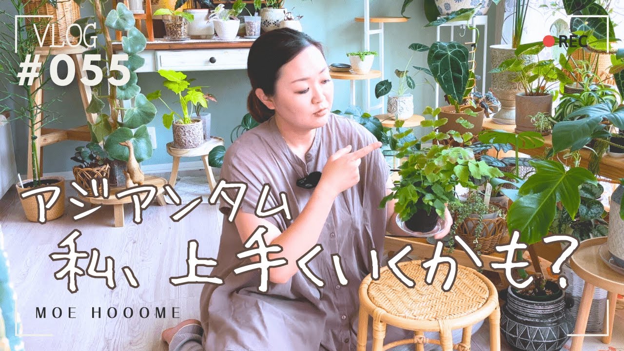 【攻略?!アジアンタム】もしかしてアジアンタム攻略したかも？（Vlog/055）