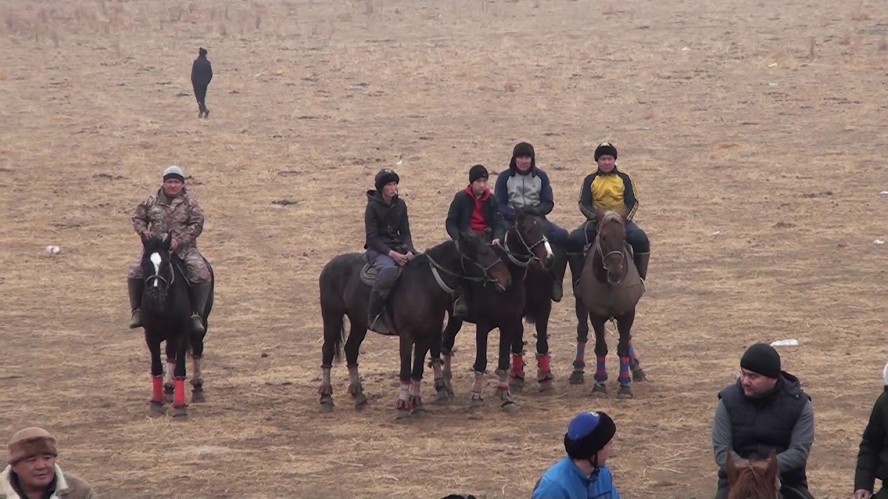 ТореАрык кокпар  1 болим
