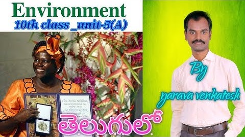 Environment - 10th class English lesson