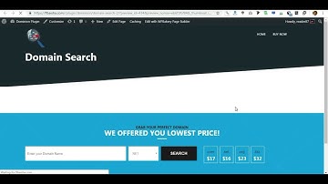 Dominion Domain Checker Tutorial With WPBakery