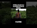 Why Burkina Faso Is Investing Heavily in Agriculture