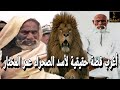 من هو عمر المختار ولماذا ل قب بأسد الصحراء قصة 