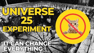 Universe 25 Experiment: The Social Experiment That Can Change Everything