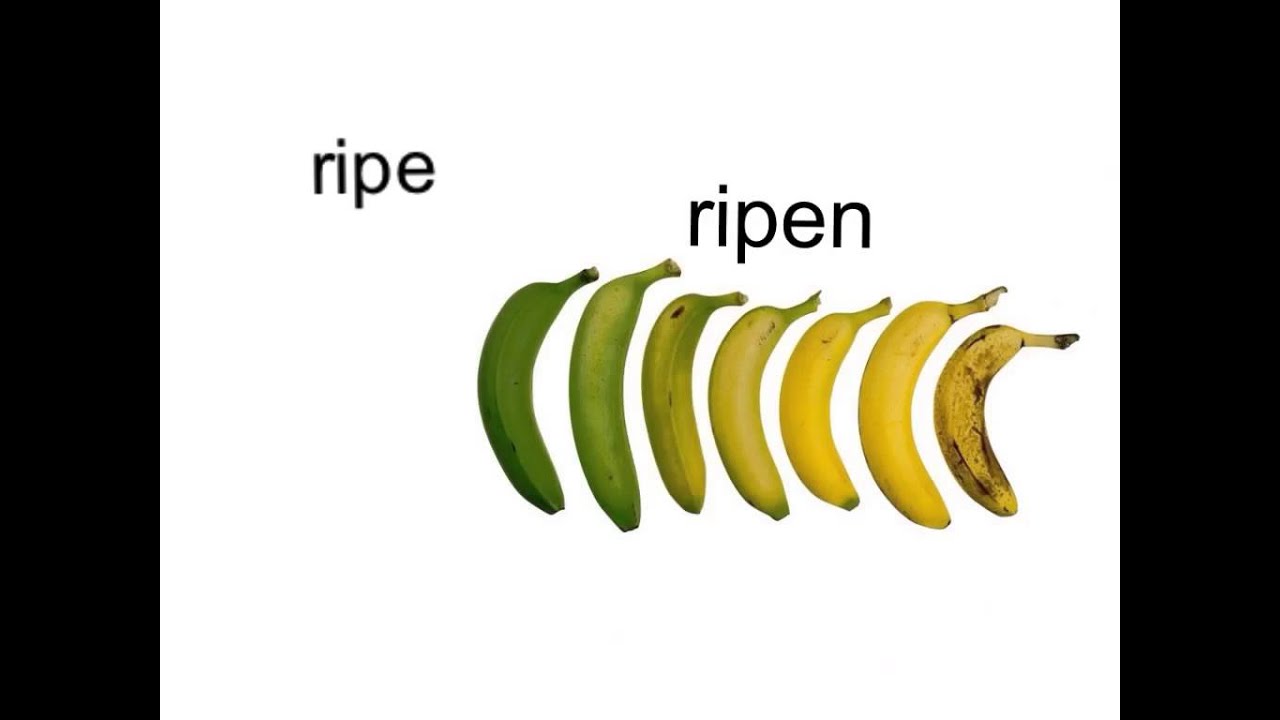 Suffix en YouTube