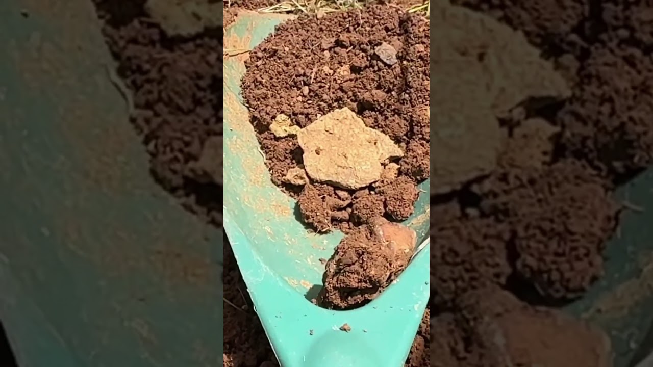 Garrett Gold Nugget Challenge III. I’m judging this year not competing. But “OH BOY!” Did I find……