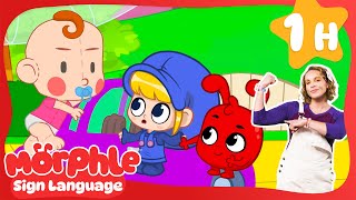 giant baby doll comes life best morphle learn asl baby sign