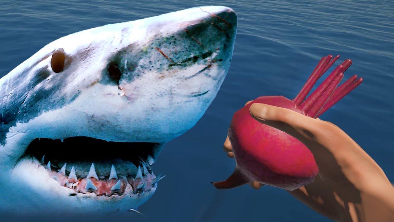охота на акул картинки