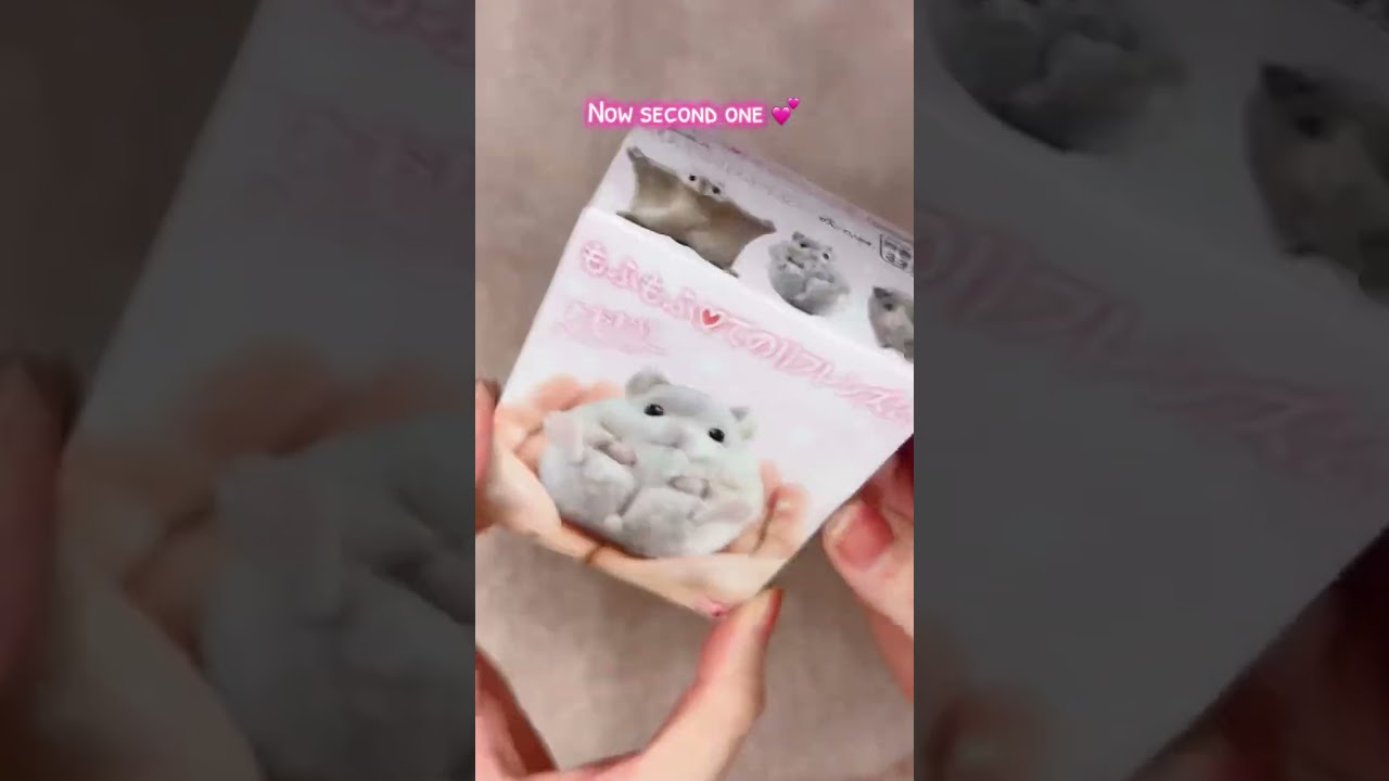 Opening my hammy boxes 💕