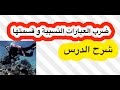رياضيات 4 ضرب العبارات النسبية وقسمتها شرح الدرس mp3
