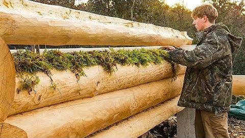 Building My Dream Log Cabin - One Man Solo With Hand Tools Only in an Off Grid Bush | EP 8