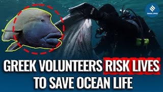 Divers Remove Deadly Ghost Nets Off Greece’s Sapientza Island, Protect Marine Life