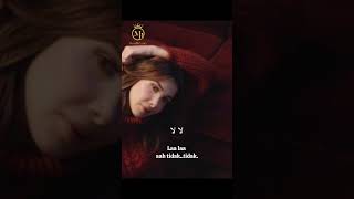 Nancy Ajram  Albi Ya Albi         Lagu Arab Lirik Latin Dan Terjemah 