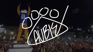 Celebrity Aubie the Tiger 2019-2020 Highlights Wealth