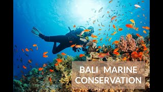 Bali Volunteer Adventure Help Save Coral Reefs & Support Ocean Conservation